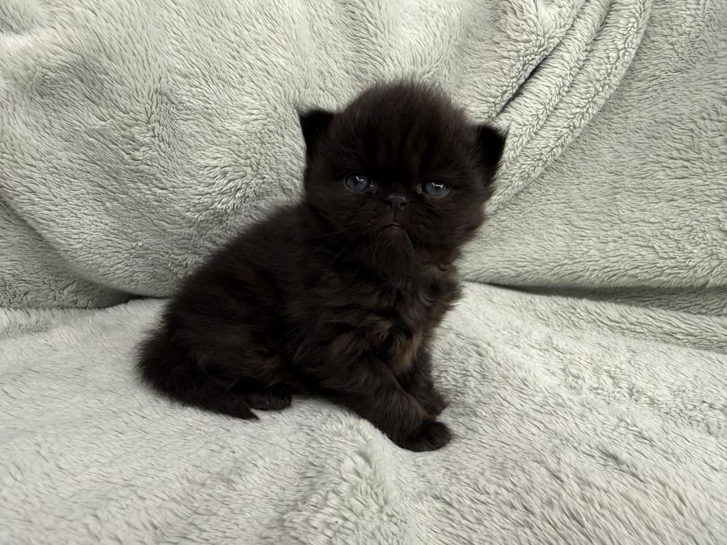 Edgar photo 3