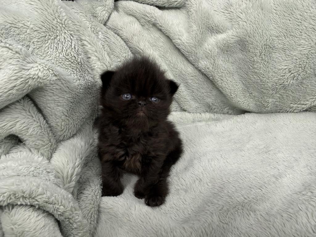 Edgar photo 6
