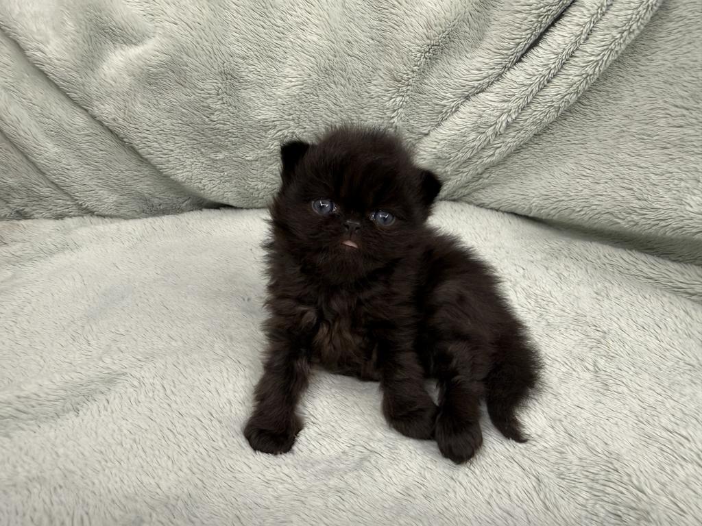 Edgar photo 8