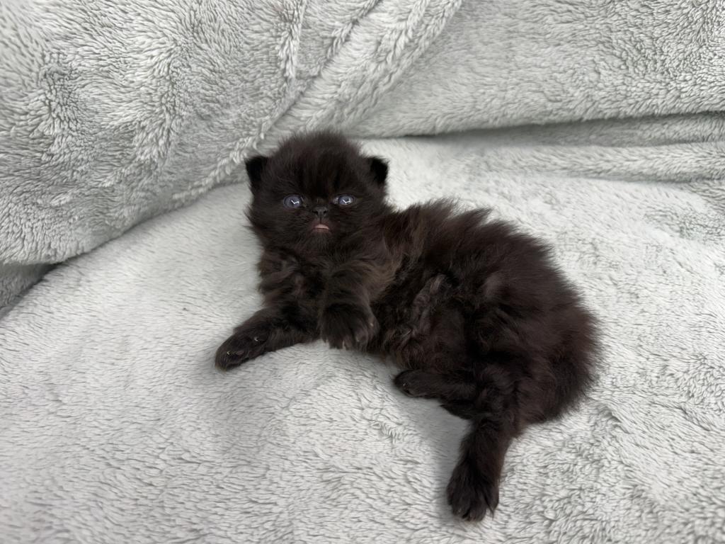 Edgar photo 1