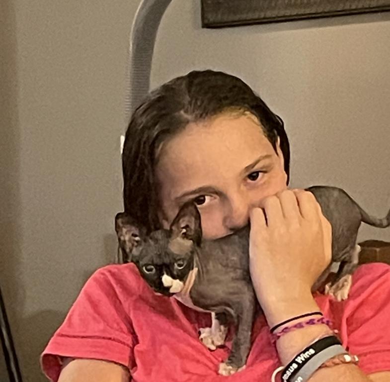 Gray Green Eyes  Sphynx Pittsburg Cleveland photo 6