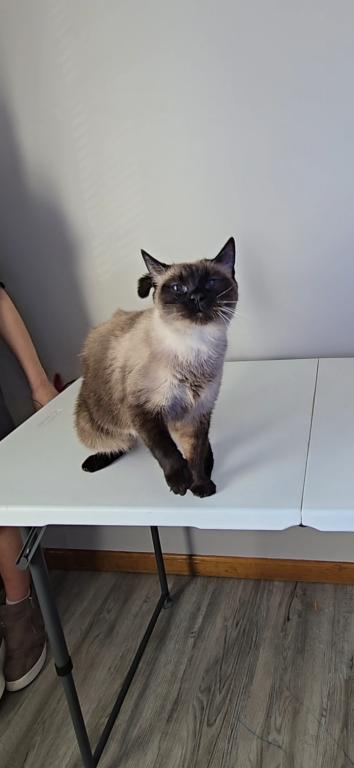 Lyla Lou photo 3