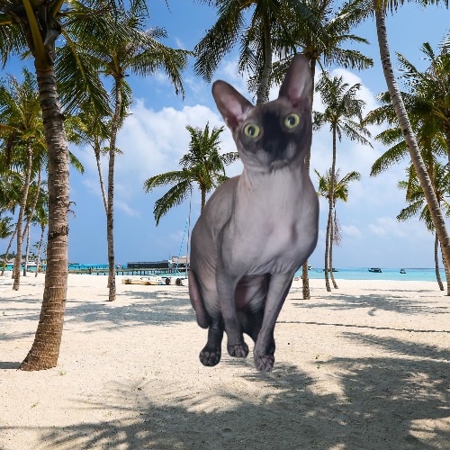 Thegobletoffur Dairin photo 1