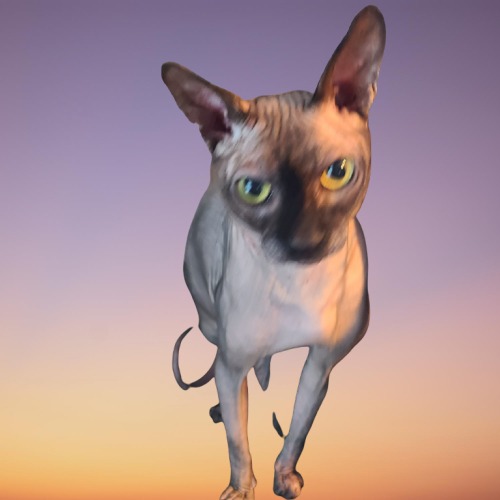 Thegobletoffur Dairin photo 2