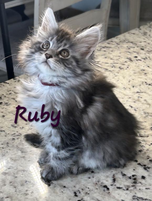 Ruby photo 1