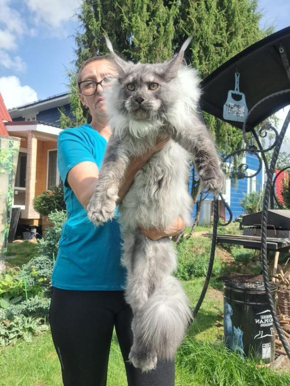 Nord photo 12