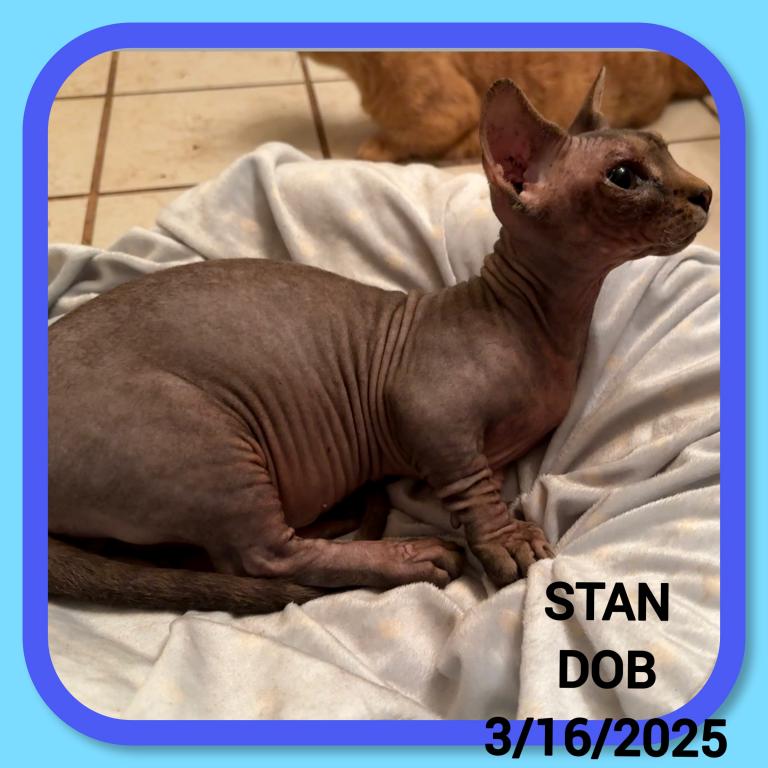 Stan photo 5