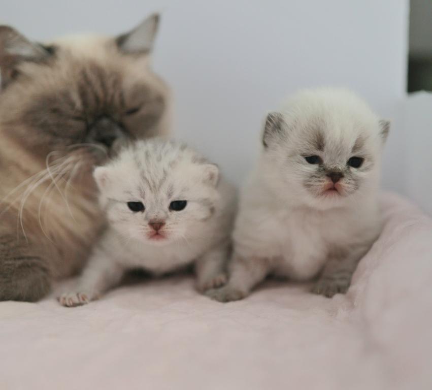 We Got Babies photo 5