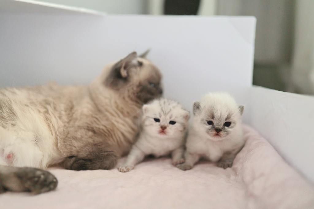 We Got Babies photo 4