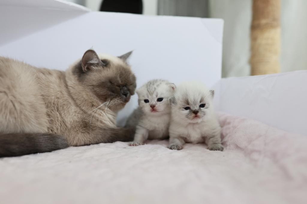 We Got Babies photo 3