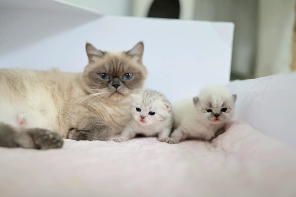 We Got Babies photo 7