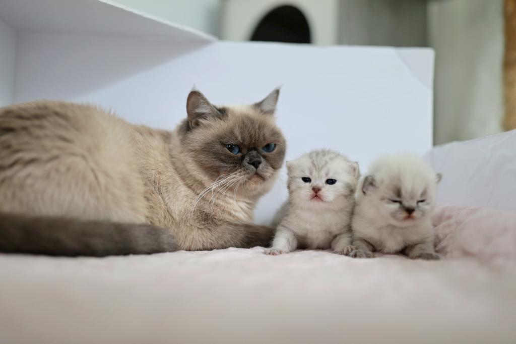 We Got Babies photo 6