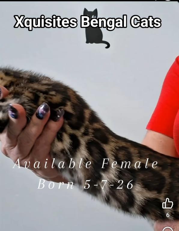 Female photo 5