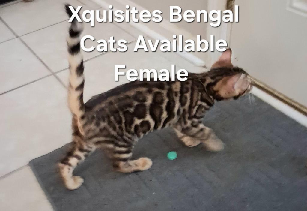 Female photo 8