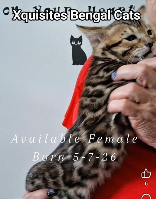 Female photo 4