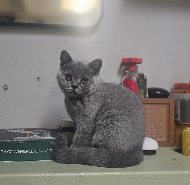 Zuzu photo 5