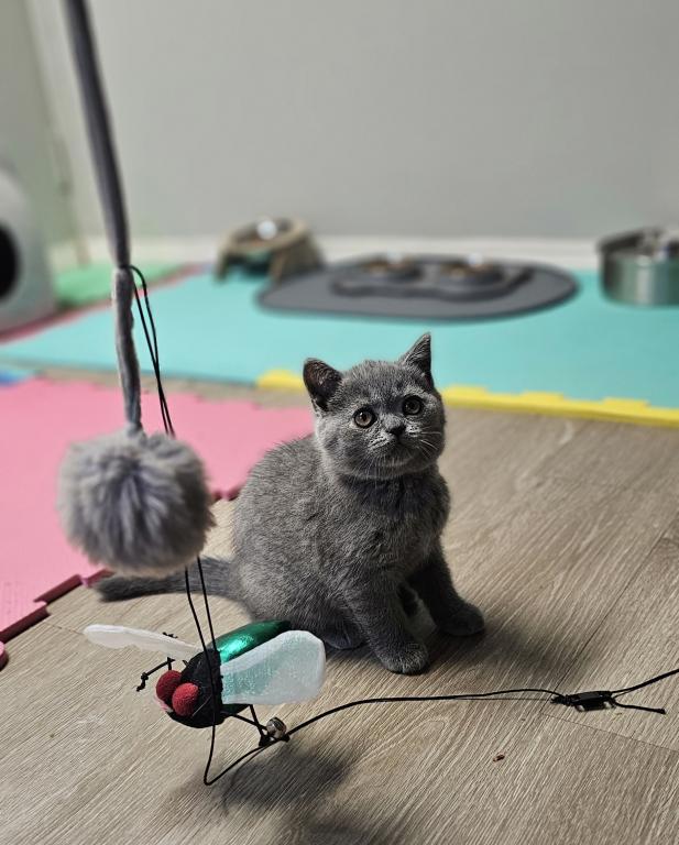 Zuzu photo 10