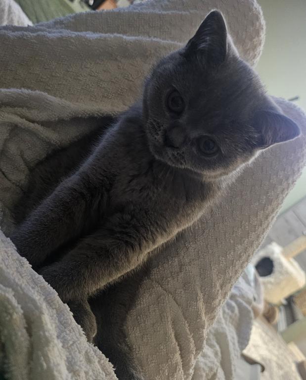 Zuzu photo 6