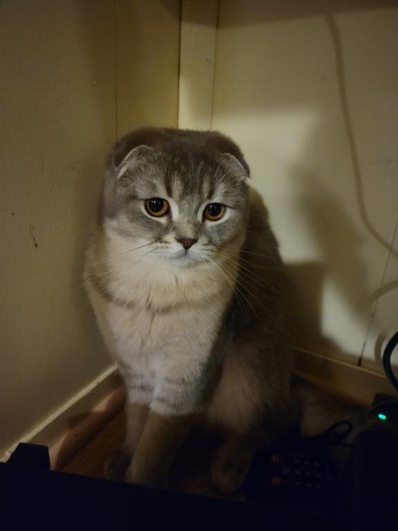 Lucky photo 3