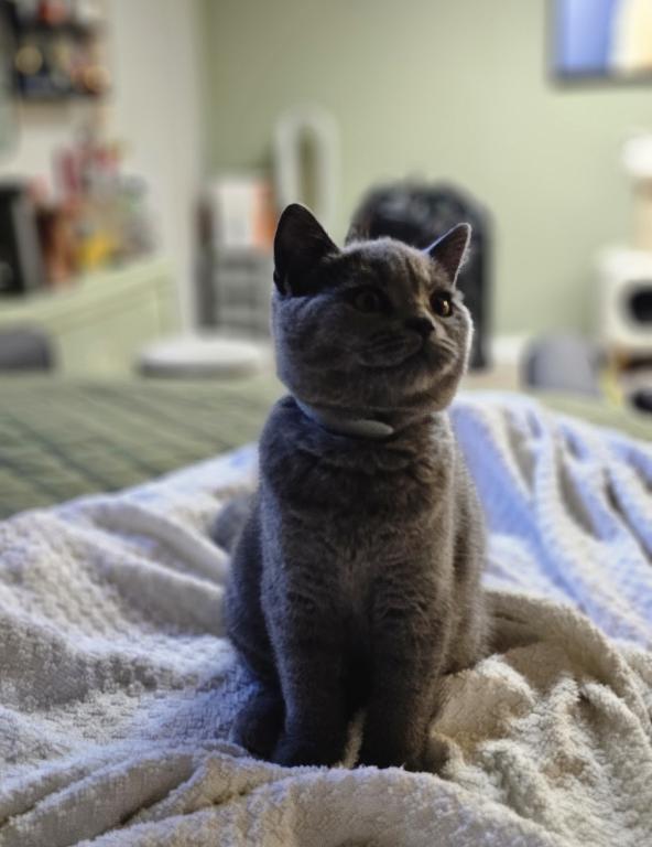 Penny photo 1