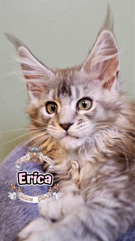 Erica photo 2