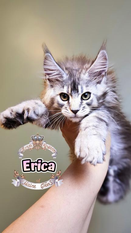Erica photo 8