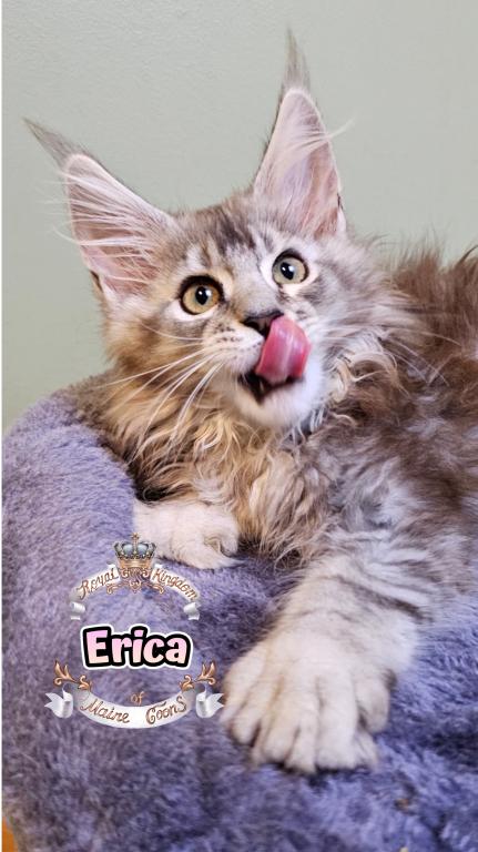 Erica photo 3