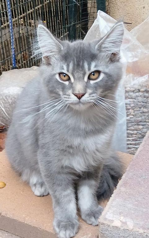 Babs photo 3
