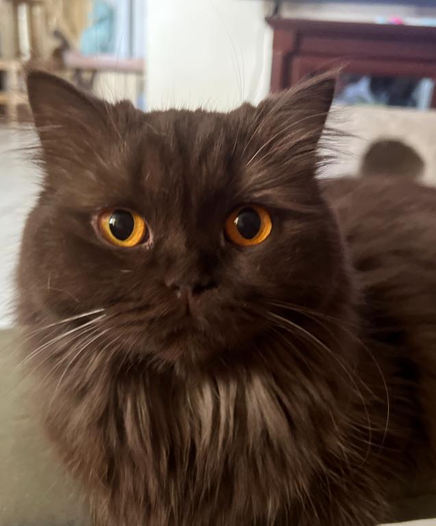 Coco Reserved photo 9