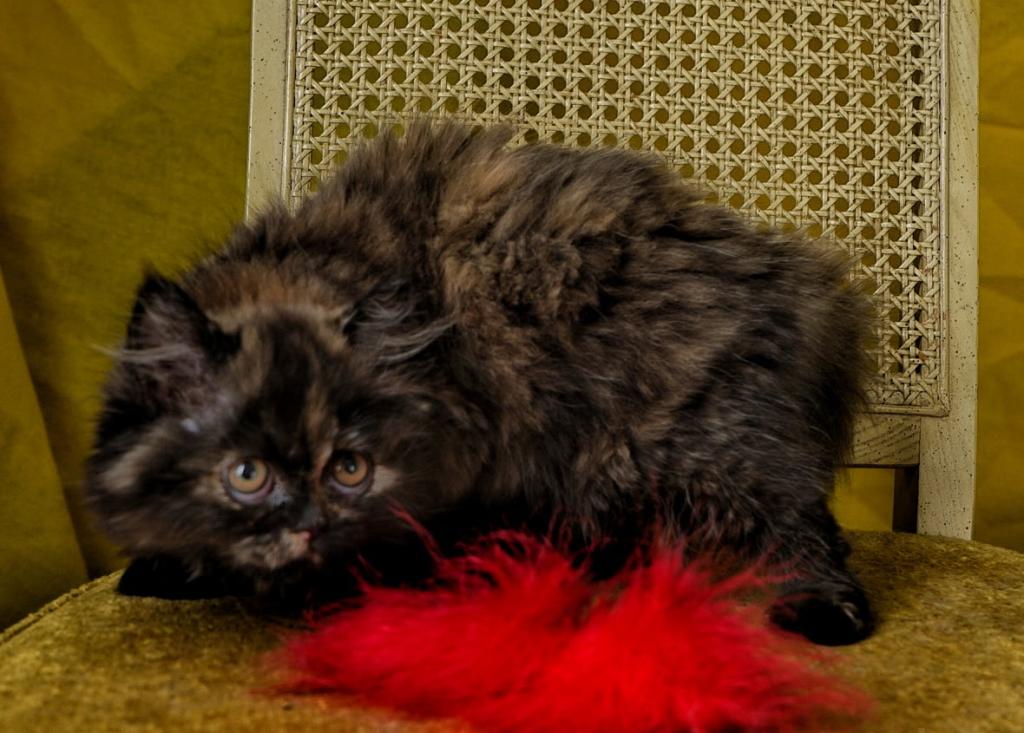 Fiona photo 2