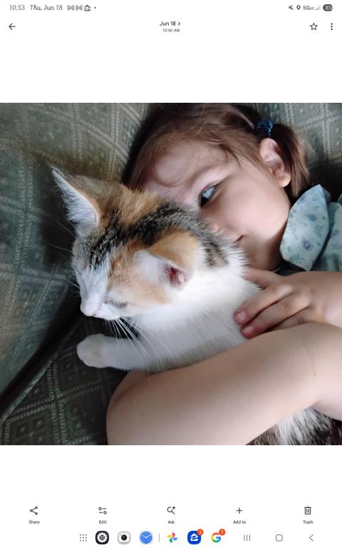 Ginger photo 3