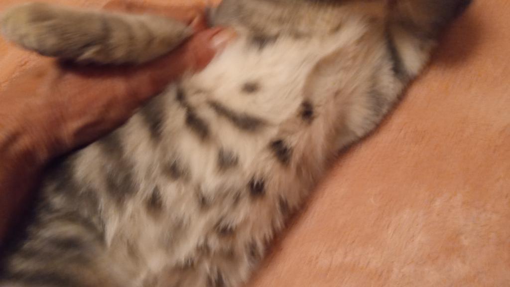 Zeus photo 6