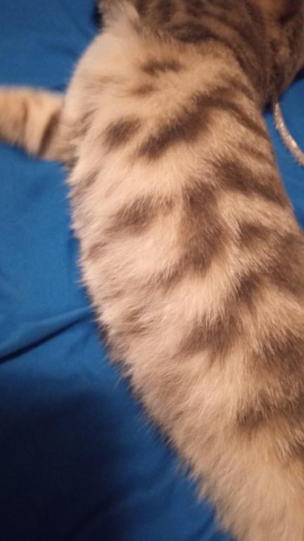 Zeus photo 5