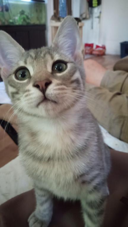 Zeus photo 1