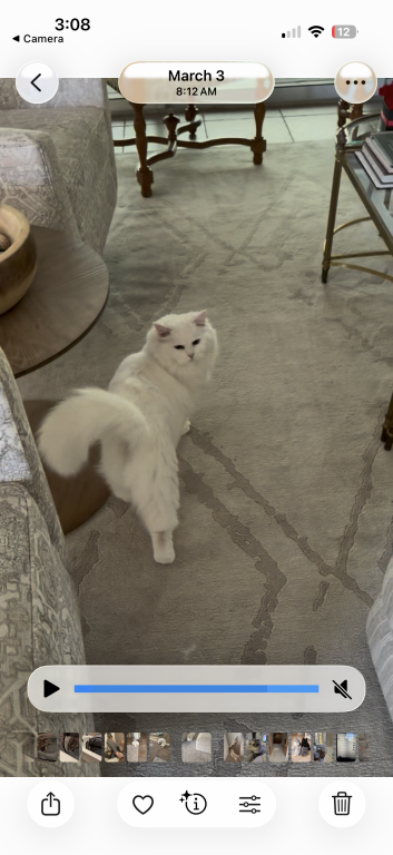 Sunni photo 2