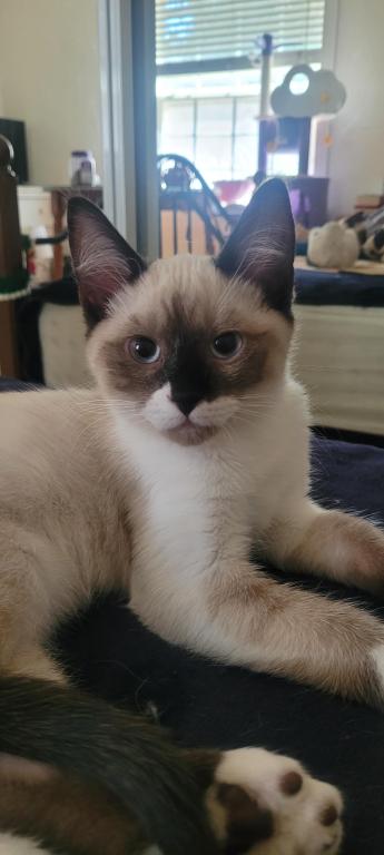 Milo photo 3