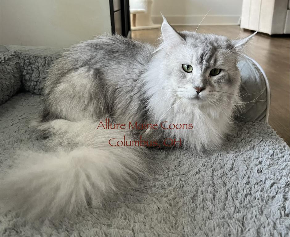 Luna And Emmetts Miles photo 3