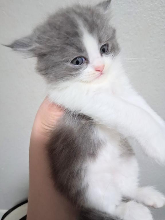 Cloud Boy photo 2