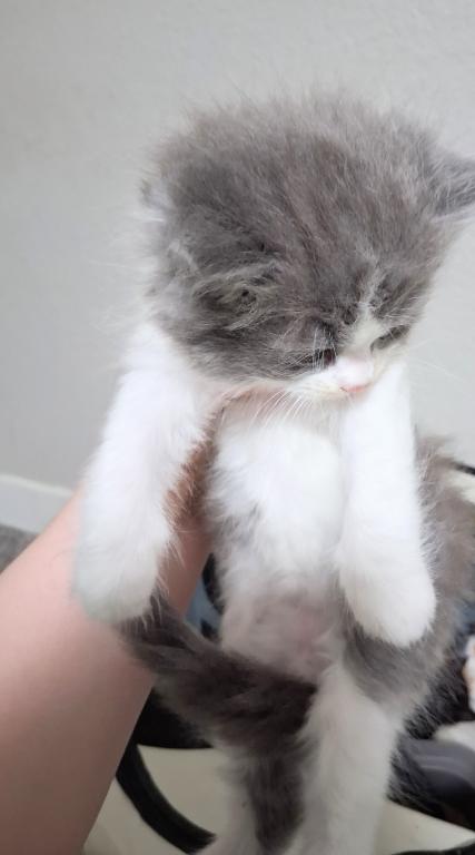 Cloud Boy photo 4