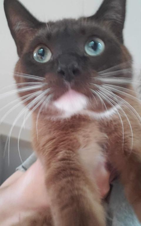 Remington photo 2