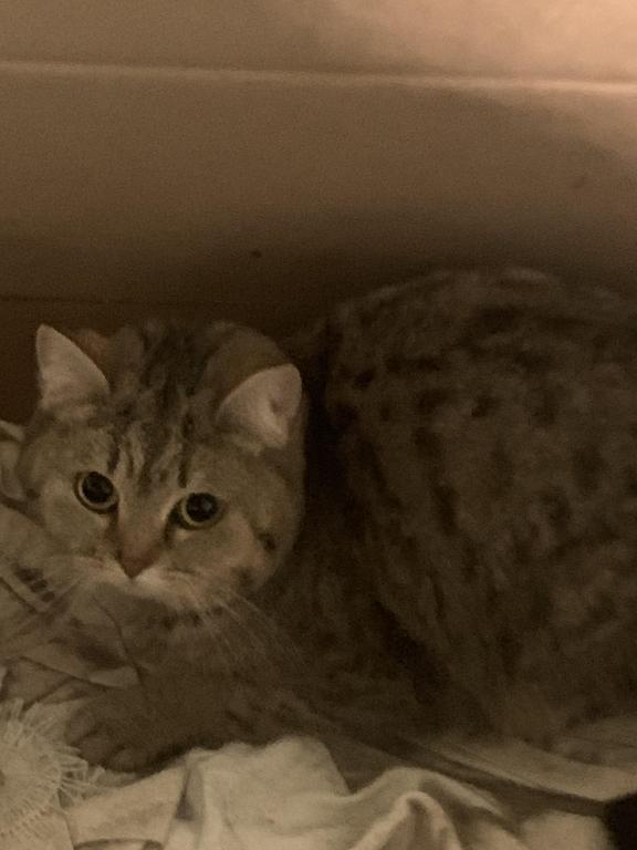 Boris photo 2