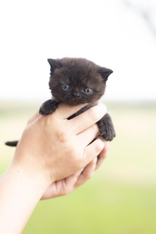 March Litter photo 15