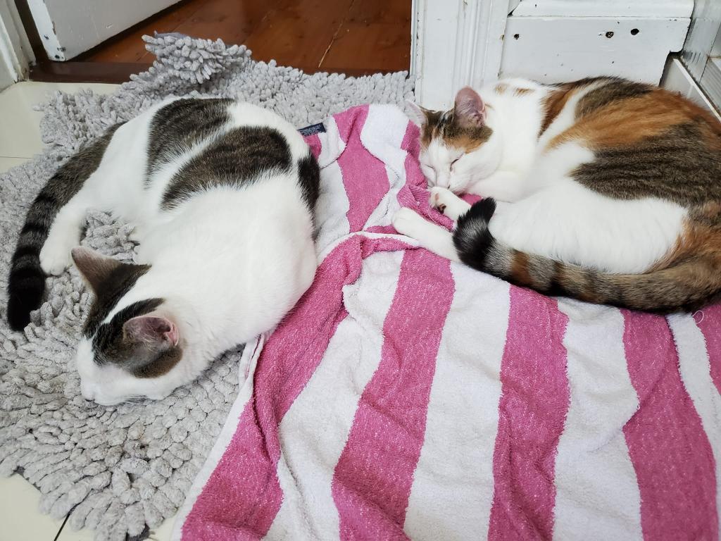 Harry & Betty photo 2