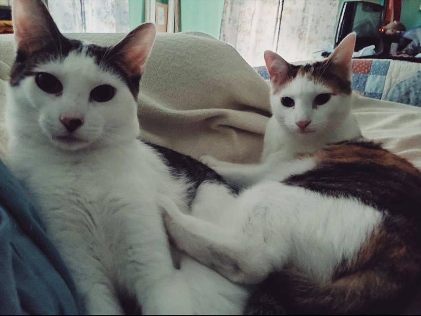Harry & Betty photo 3