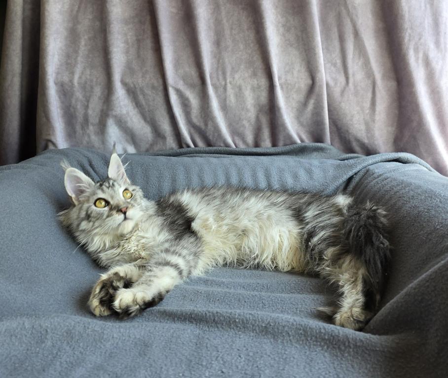 Zeus X Victoria photo 18