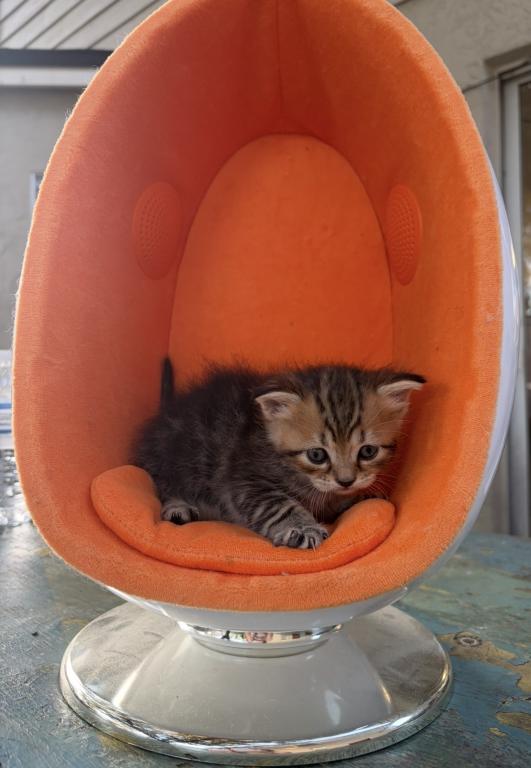 April 8th Babies photo 5
