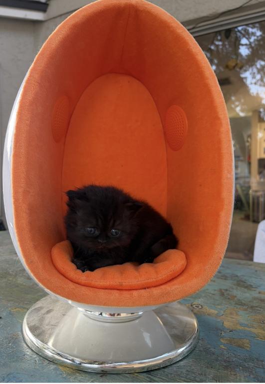 April 8th Babies photo 3