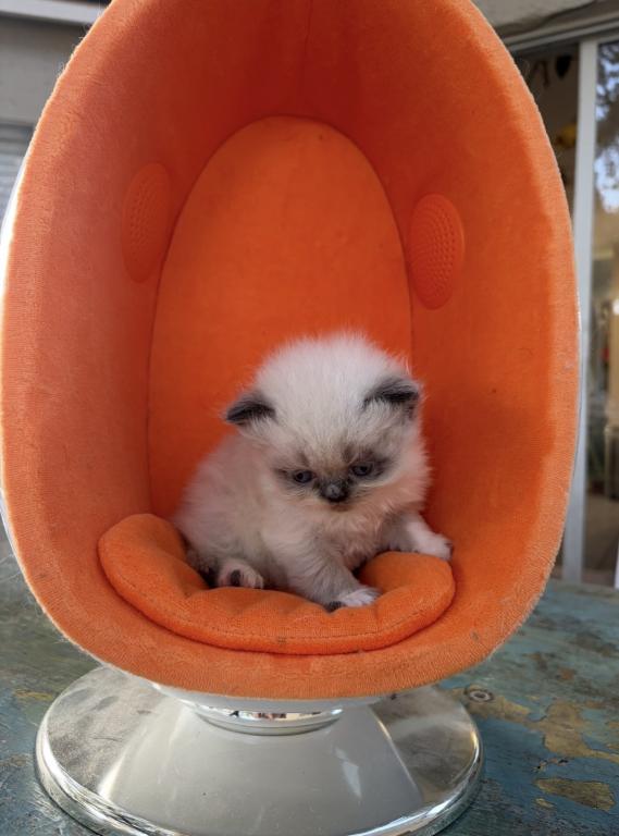April 8th Babies photo 10