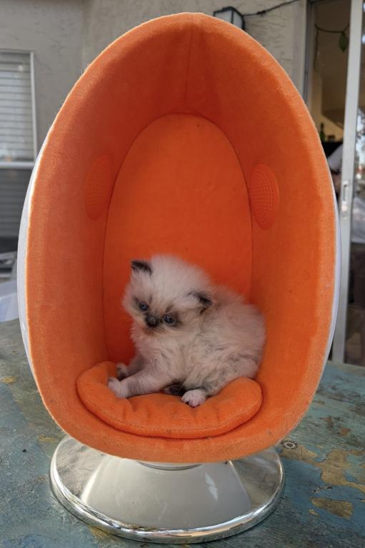 April 8th Babies photo 1