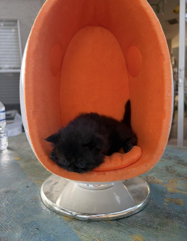 April 8th Babies photo 2
